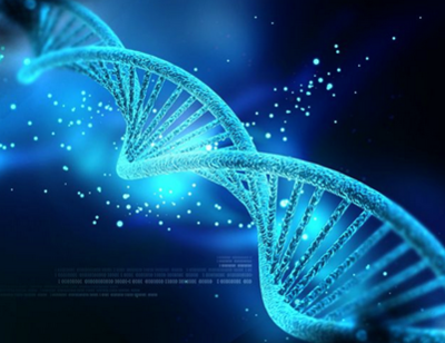 生物基因領(lǐng)域的新動(dòng)力 傲銳東源生物基因加盟推動(dòng)生物研究發(fā)展