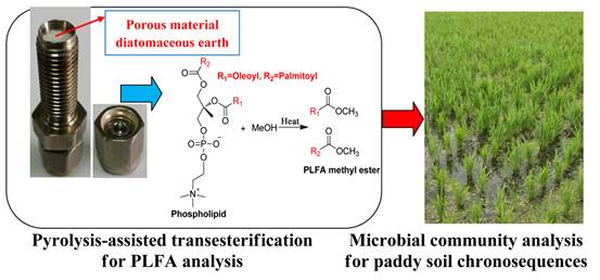 土壤微生物指紋圖譜新突破 創(chuàng)新磷脂脂肪酸分析方法揭示地下生命網(wǎng)絡(luò)