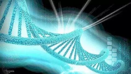 硬科技創(chuàng)業(yè)來(lái)西安丨天隆科技 以匠心耕耘數(shù)載，攜重器打破壟斷