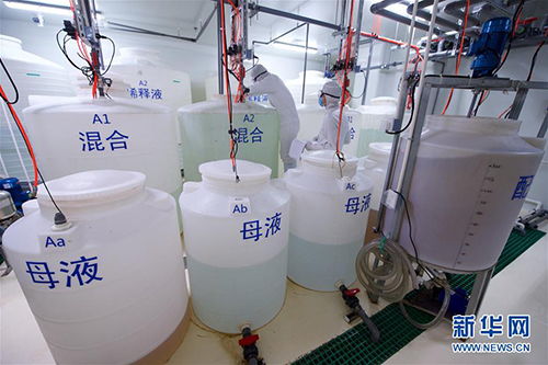 探索生命奧秘 中國科學院植物研究所的生物研究前沿